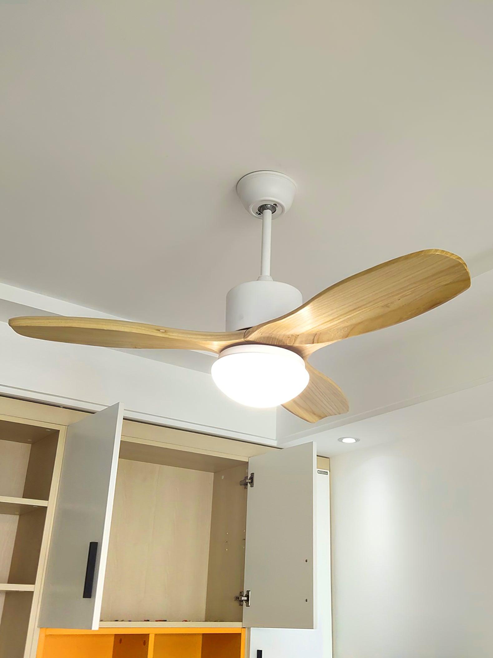 Harborough 3 Ceiling Fan Light - Lamp Outdoor