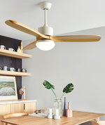 Harborough 3 Ceiling Fan Light - Lamp Outdoor