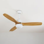 Harborough 3 Ceiling Fan Light - Lamp Outdoor