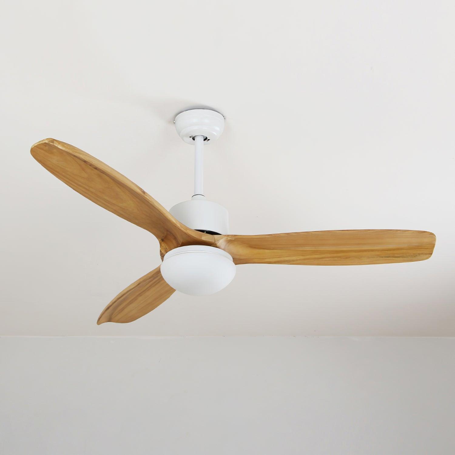 Harborough 3 Ceiling Fan Light - Lamp Outdoor
