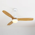 Harborough 3 Ceiling Fan Light - Lamp Outdoor