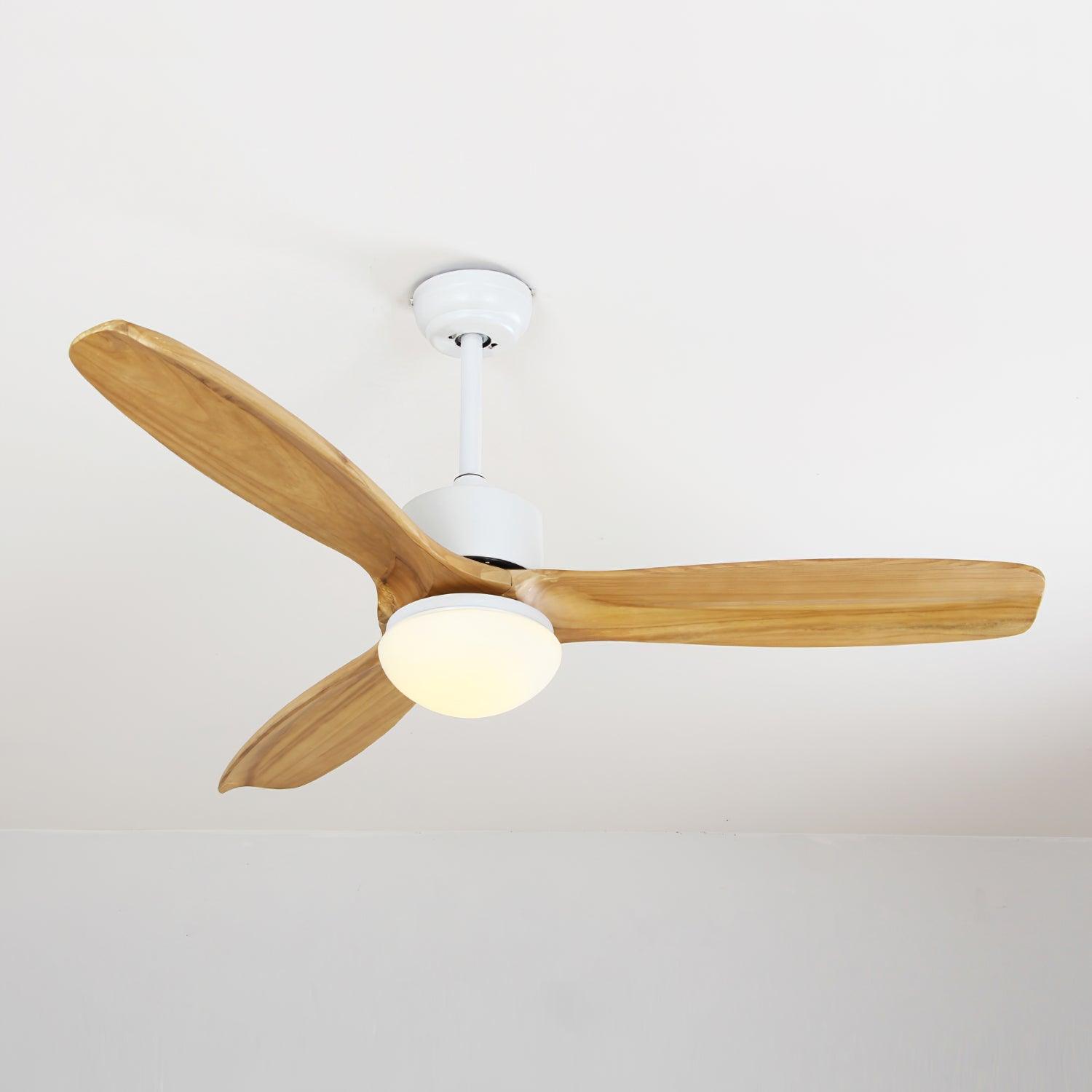Harborough 3 Ceiling Fan Light - Lamp Outdoor