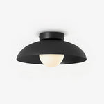 Harper Glass Dome Ceiling Lamp - Lamp Outdoor