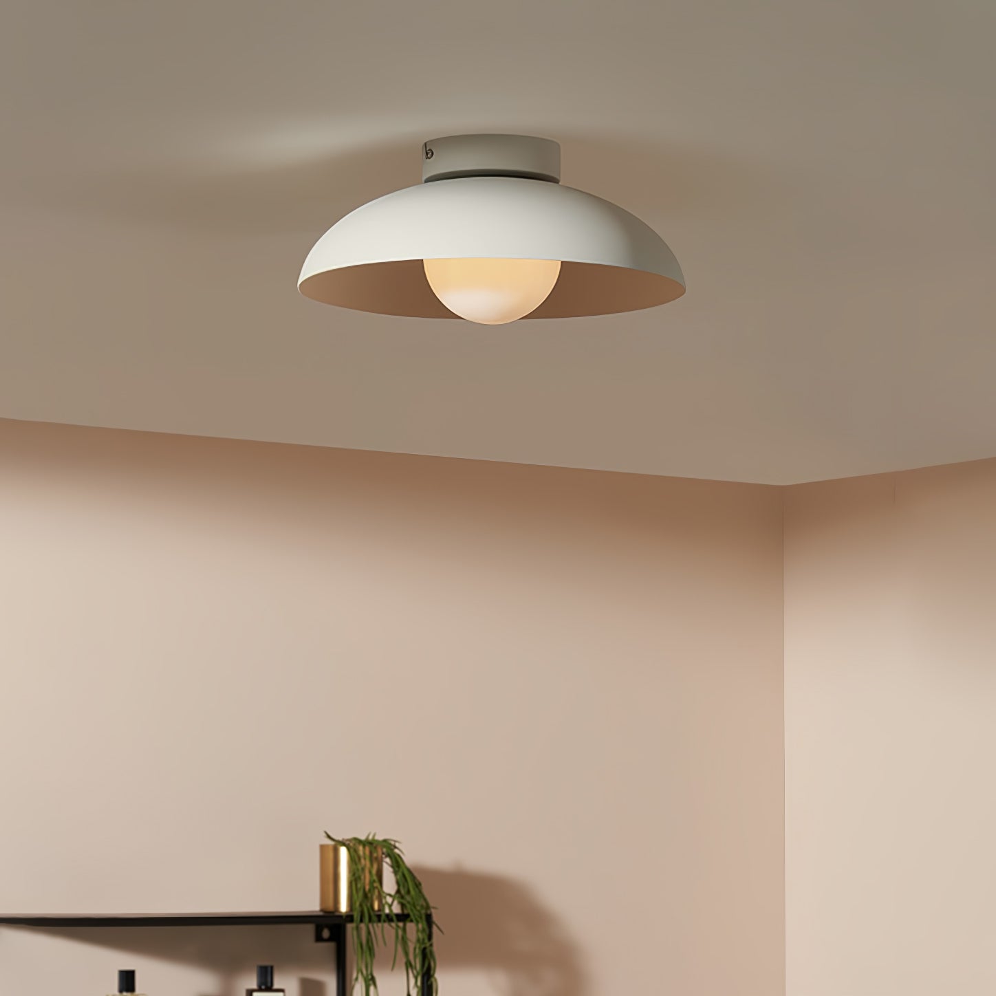 Harper Glass Dome Ceiling Lamp - Lamp Outdoor
