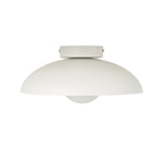 Harper Glass Dome Ceiling Lamp - Lamp Outdoor