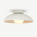 Harper Glass Dome Ceiling Lamp - Lamp Outdoor