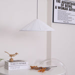 Hat Resin Pendant Lamp - Lamp Outdoor