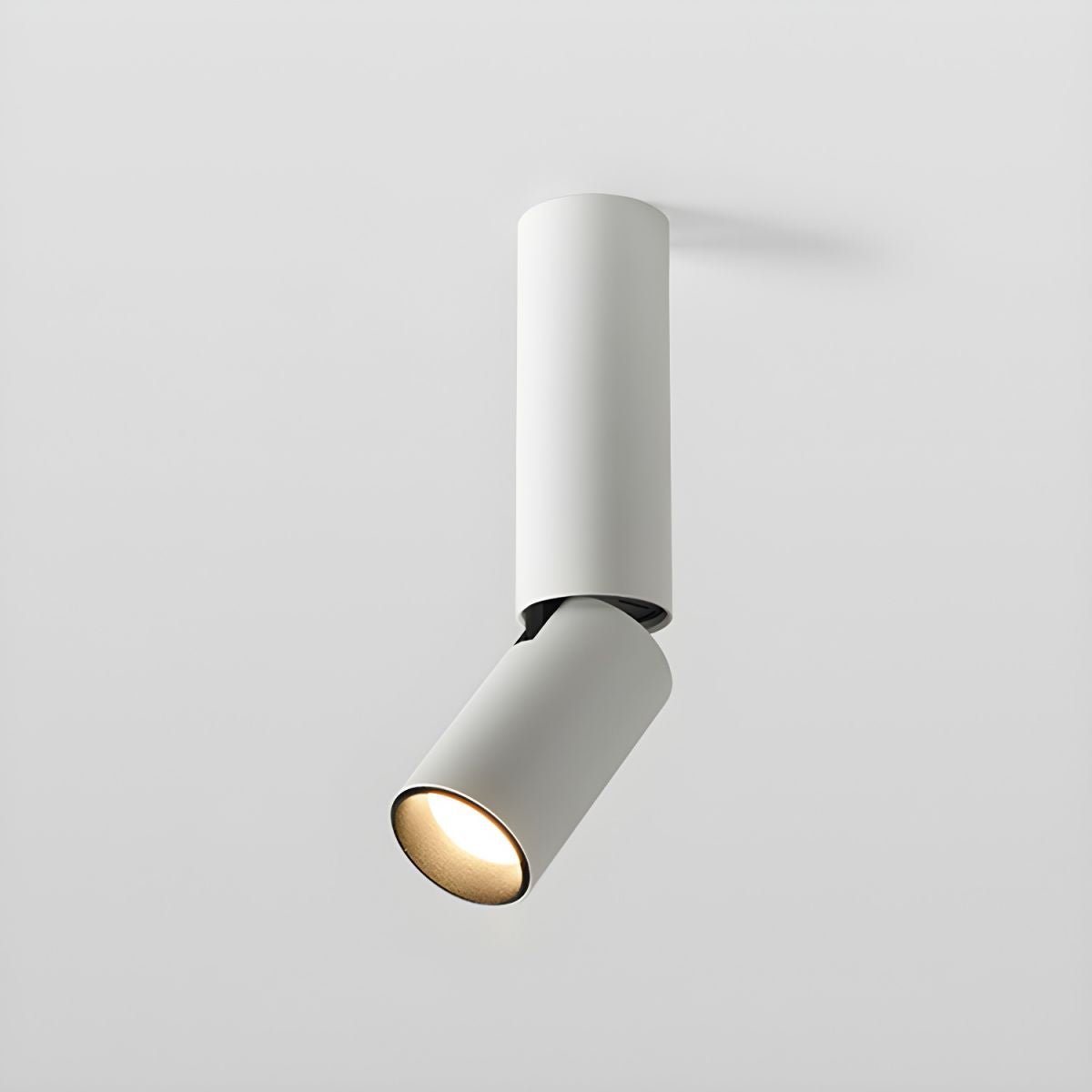 Julian Adjustable Surface Downlight - Lamp Outdoor