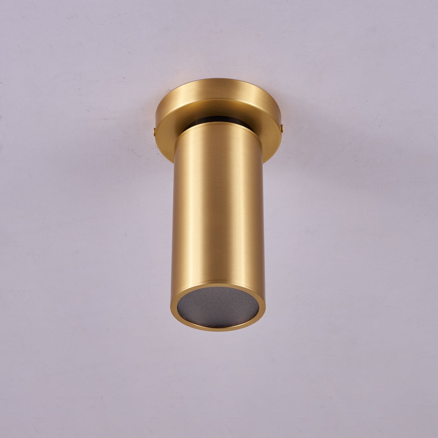 Horizon Brass Spot Light - Lamp Outdoor