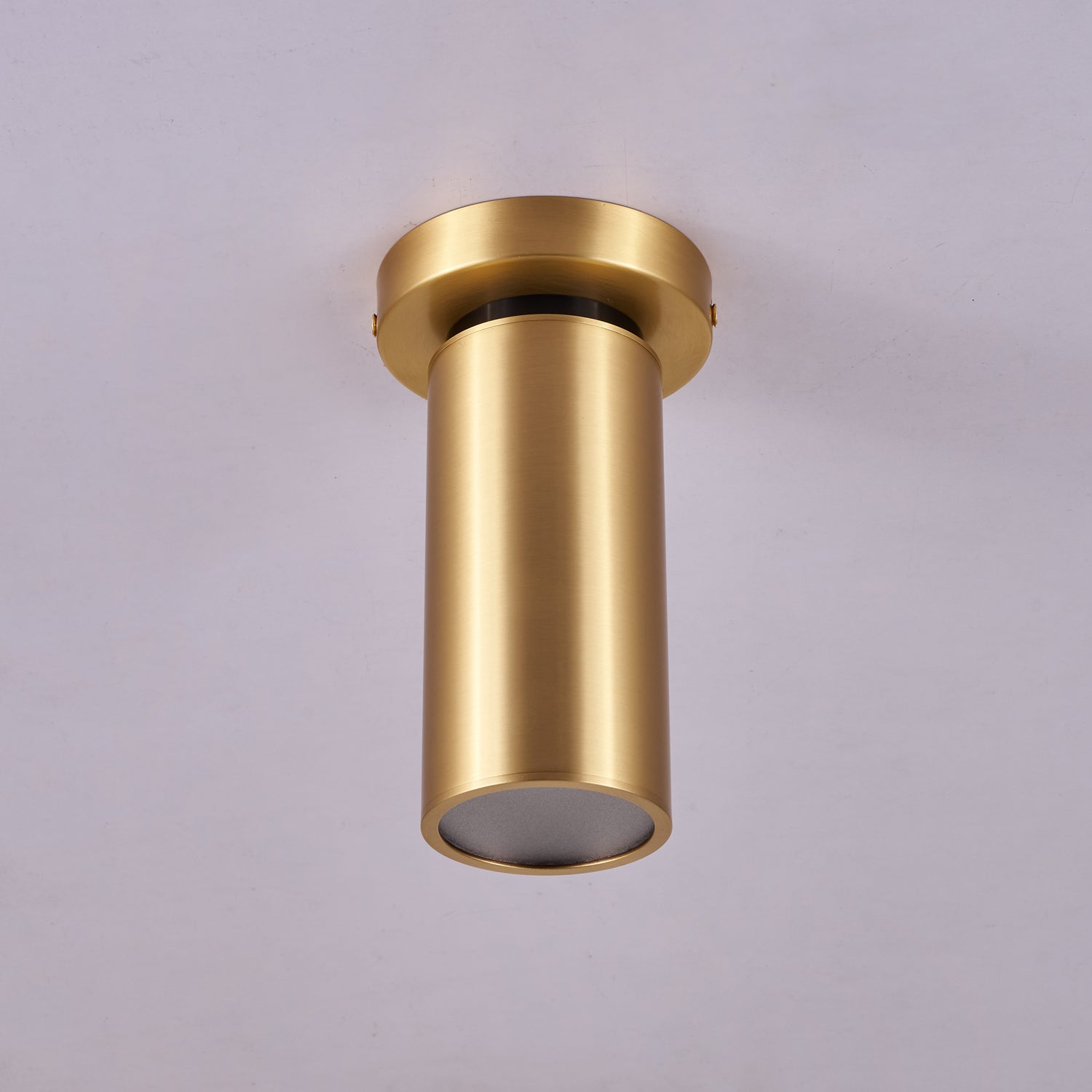 Horizon Brass Spot Light - Lamp Outdoor