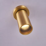 Horizon Brass Spot Light - Lamp Outdoor