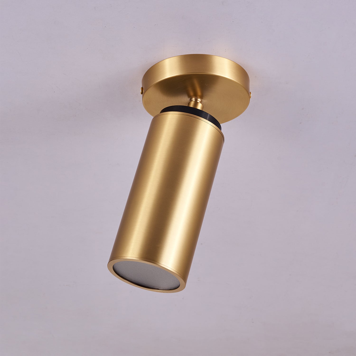 Horizon Brass Spot Light - Lamp Outdoor