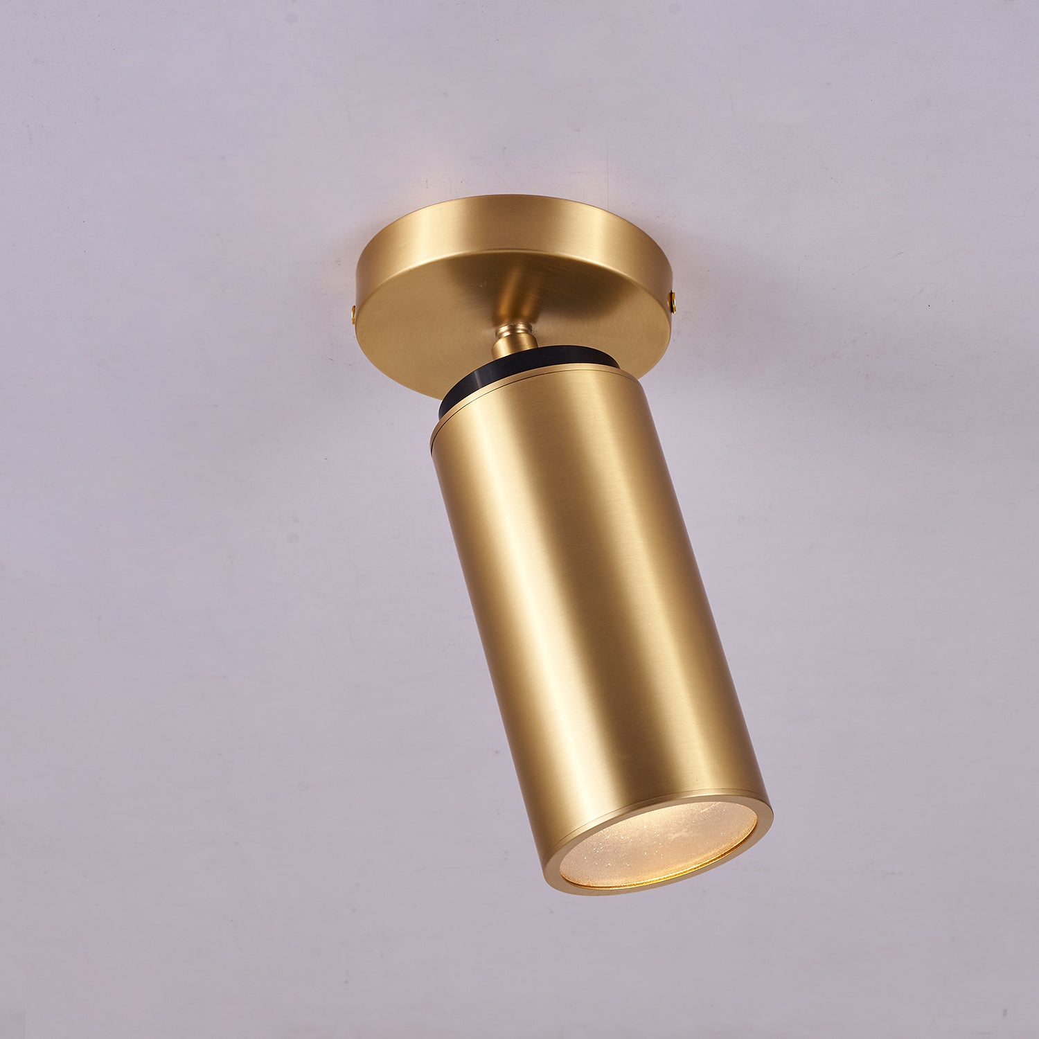 Horizon Brass Spot Light - Lamp Outdoor