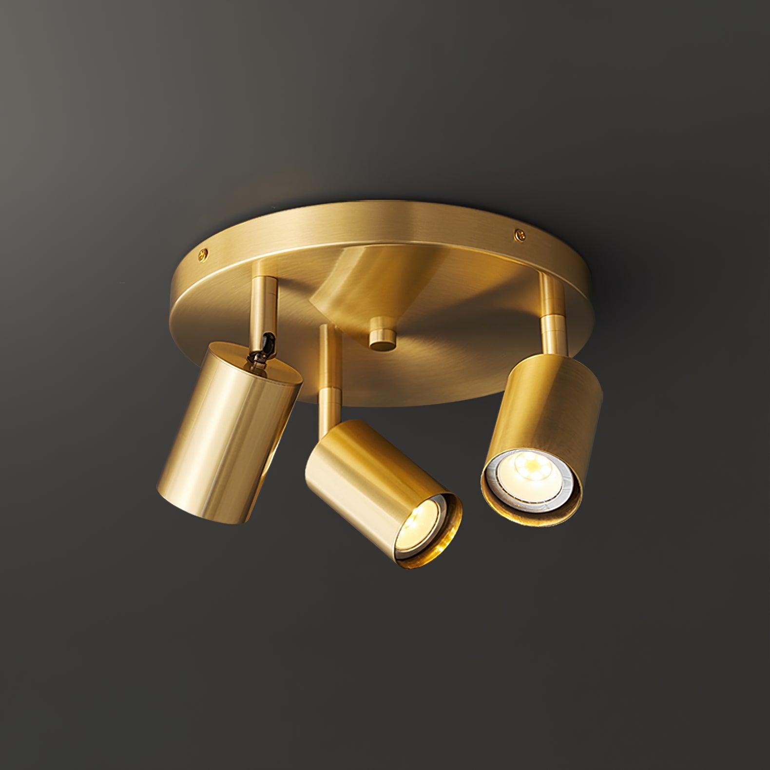 Hugo Hotspot Ceiling Light - Lamp Outdoor