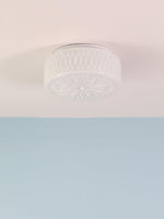 Adler Ceiling Light - Lamp Outdoor