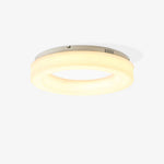 Erraeiel Modern Minimalist Art Metal Ceiling Light - Lamp Outdoor