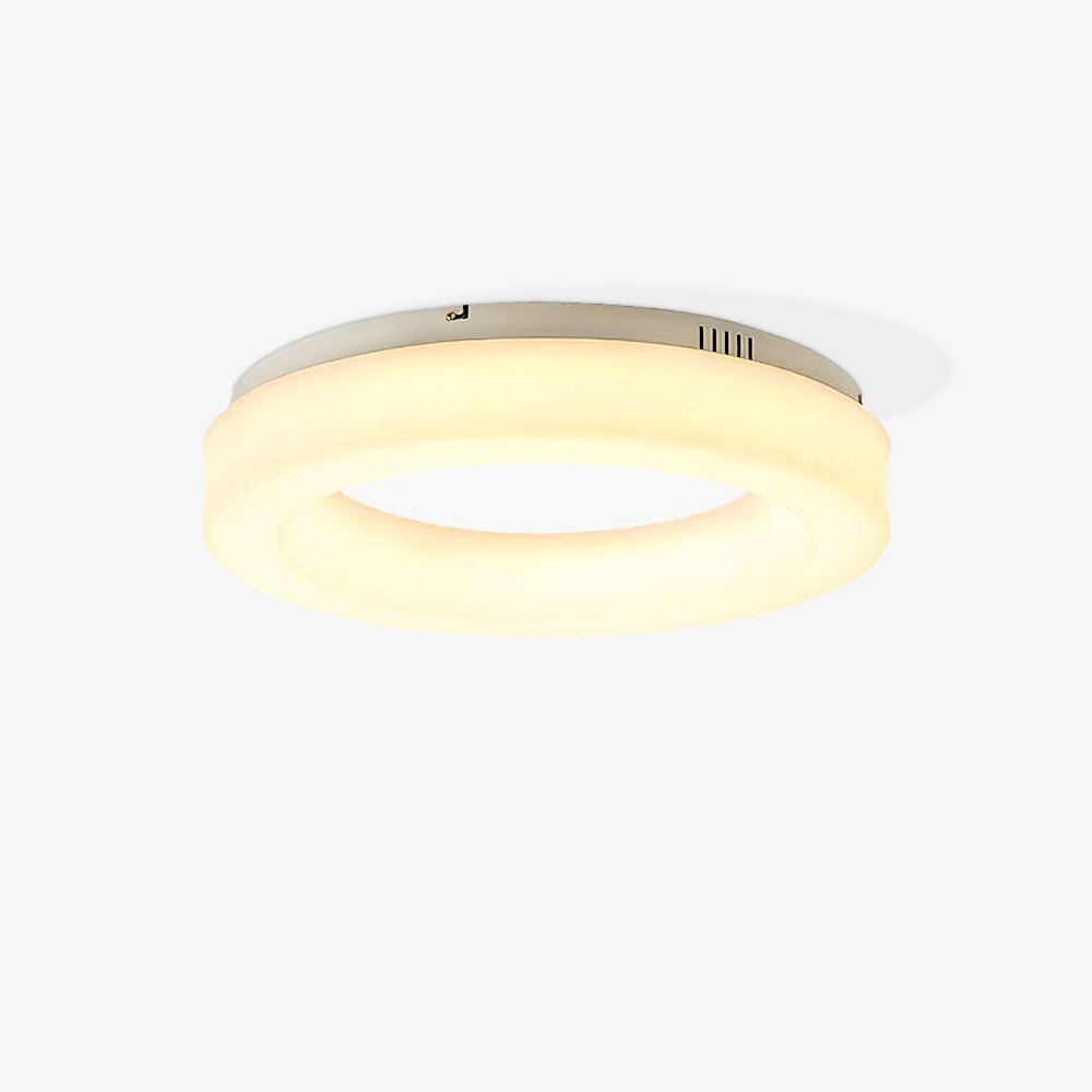 Erraeiel Modern Minimalist Art Metal Ceiling Light - Lamp Outdoor