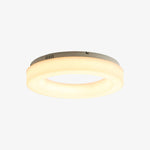 Erraeiel Modern Minimalist Art Metal Ceiling Light - Lamp Outdoor