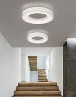 Erraeiel Modern Minimalist Art Metal Ceiling Light - Lamp Outdoor