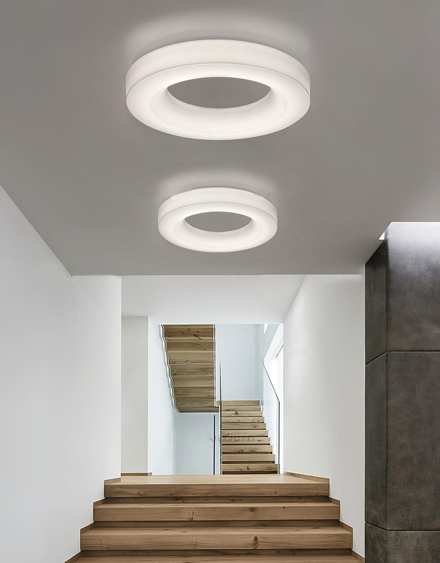 Erraeiel Modern Minimalist Art Metal Ceiling Light - Lamp Outdoor