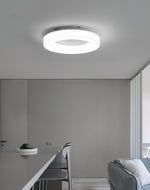 Erraeiel Modern Minimalist Art Metal Ceiling Light - Lamp Outdoor