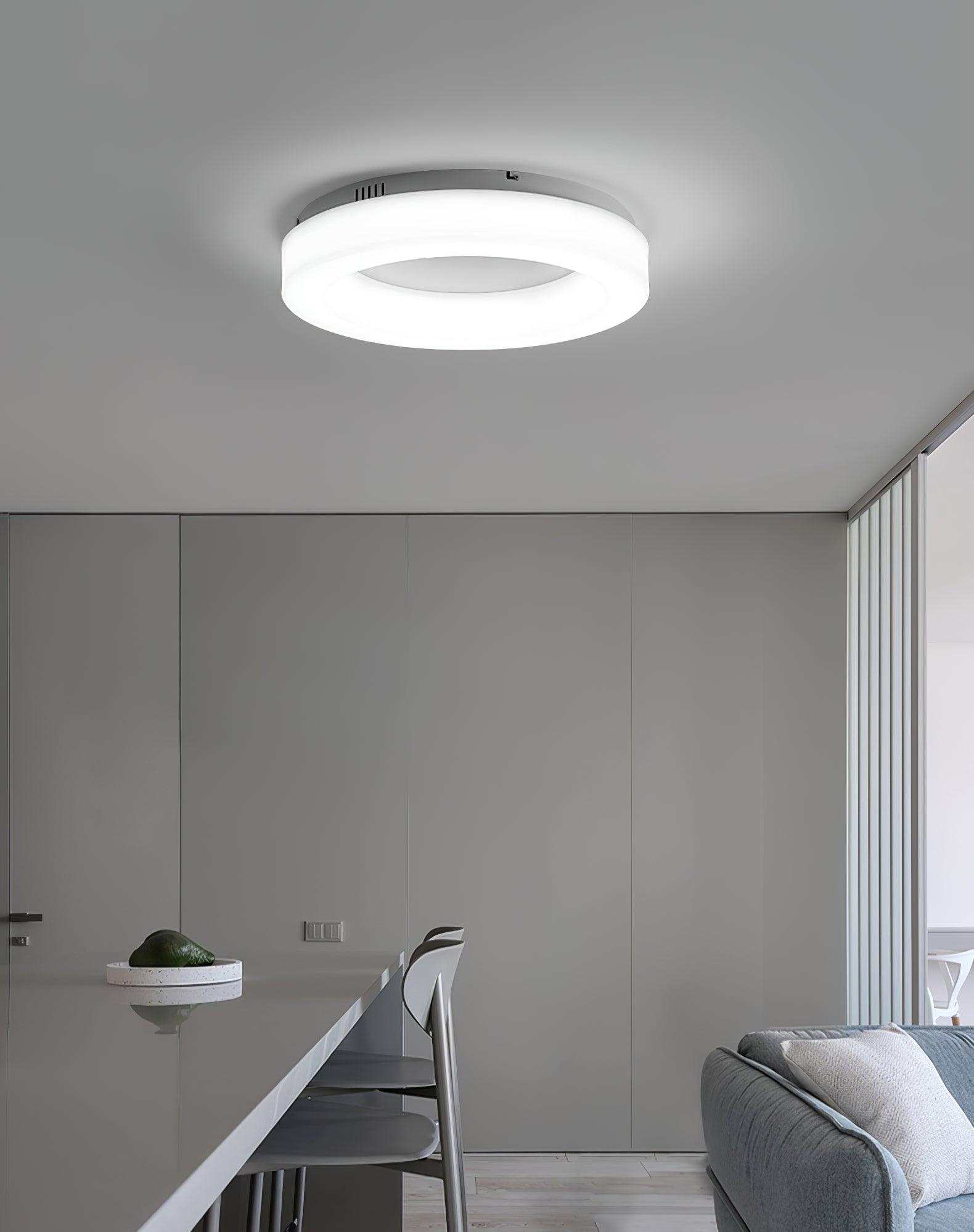 Erraeiel Modern Minimalist Art Metal Ceiling Light - Lamp Outdoor