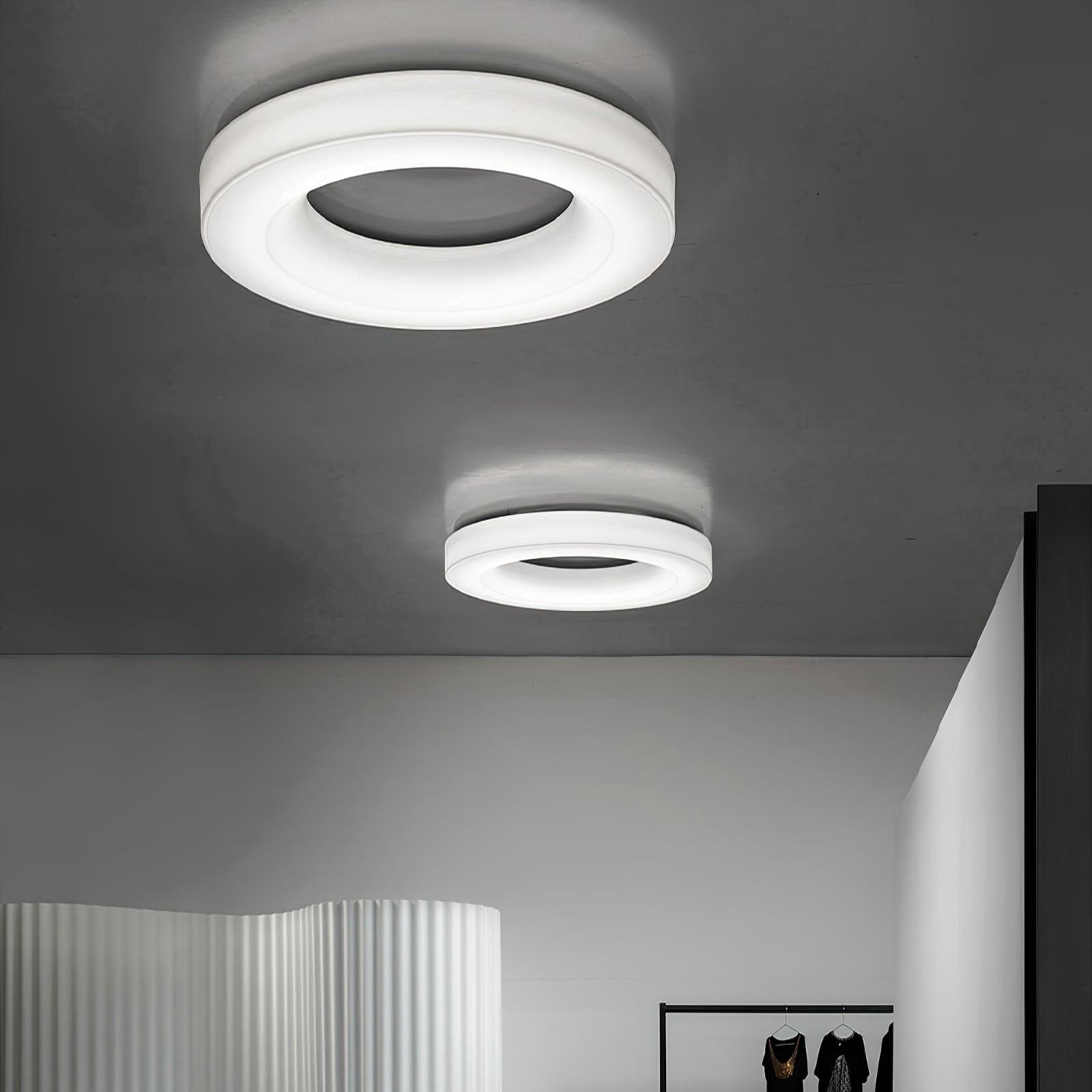 Erraeiel Modern Minimalist Art Metal Ceiling Light - Lamp Outdoor