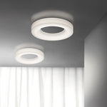 Erraeiel Modern Minimalist Art Metal Ceiling Light - Lamp Outdoor