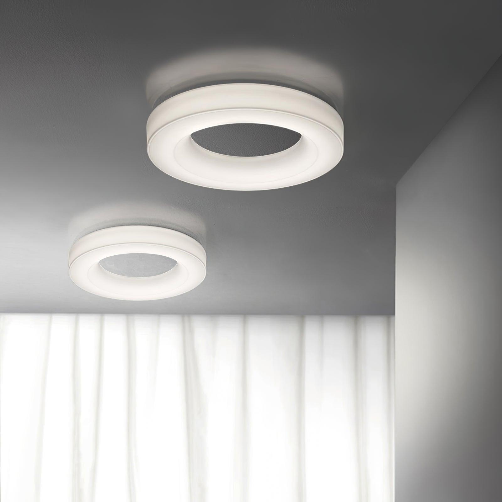 Erraeiel Modern Minimalist Art Metal Ceiling Light - Lamp Outdoor