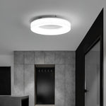Erraeiel Modern Minimalist Art Metal Ceiling Light - Lamp Outdoor