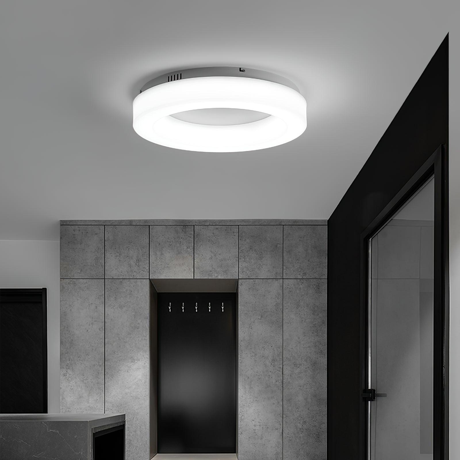Erraeiel Modern Minimalist Art Metal Ceiling Light - Lamp Outdoor
