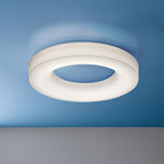 Erraeiel Modern Minimalist Art Metal Ceiling Light - Lamp Outdoor