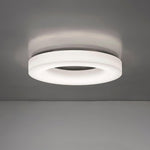 Erraeiel Modern Minimalist Art Metal Ceiling Light - Lamp Outdoor