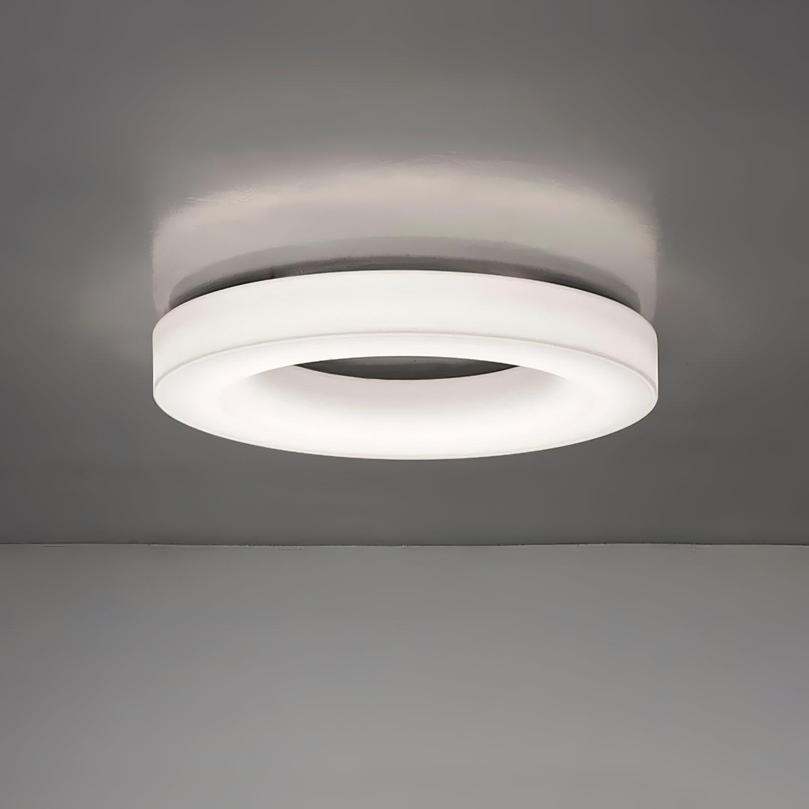 Erraeiel Modern Minimalist Art Metal Ceiling Light - Lamp Outdoor