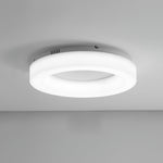 Erraeiel Modern Minimalist Art Metal Ceiling Light - Lamp Outdoor