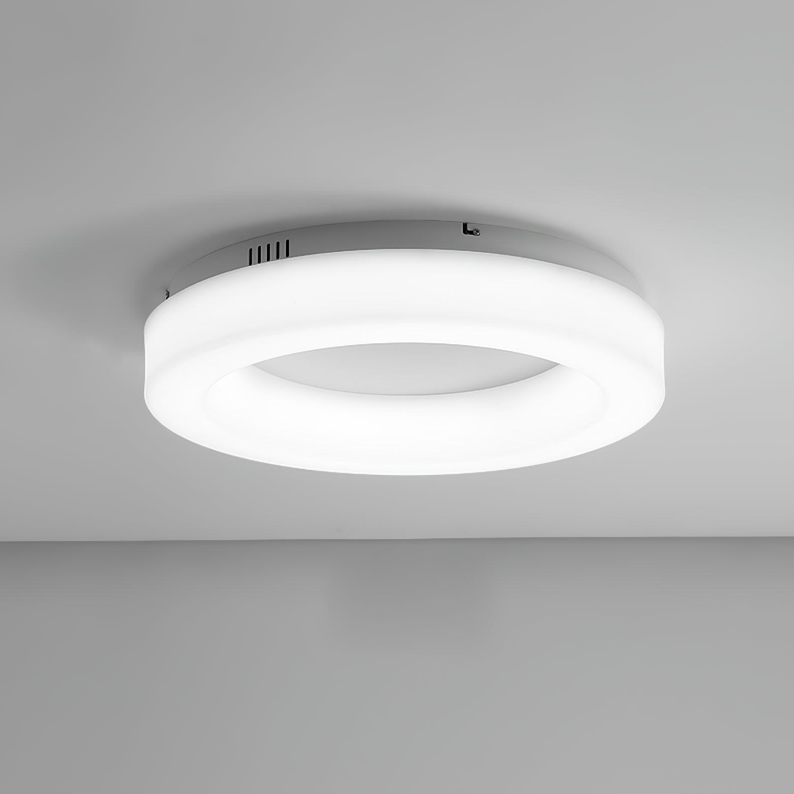 Erraeiel Modern Minimalist Art Metal Ceiling Light - Lamp Outdoor