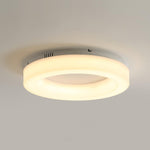 Erraeiel Modern Minimalist Art Metal Ceiling Light - Lamp Outdoor