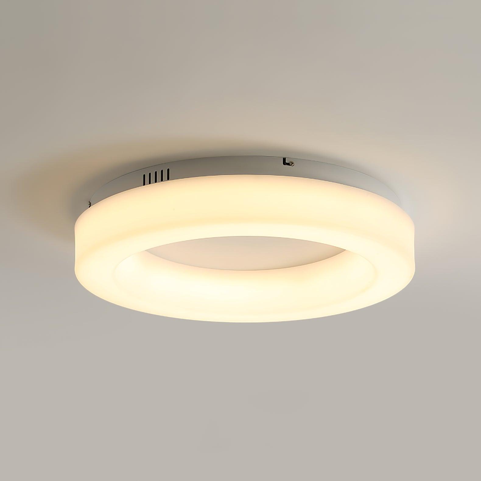 Erraeiel Modern Minimalist Art Metal Ceiling Light - Lamp Outdoor