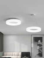 Erraeiel Modern Minimalist Art Metal Ceiling Light - Lamp Outdoor