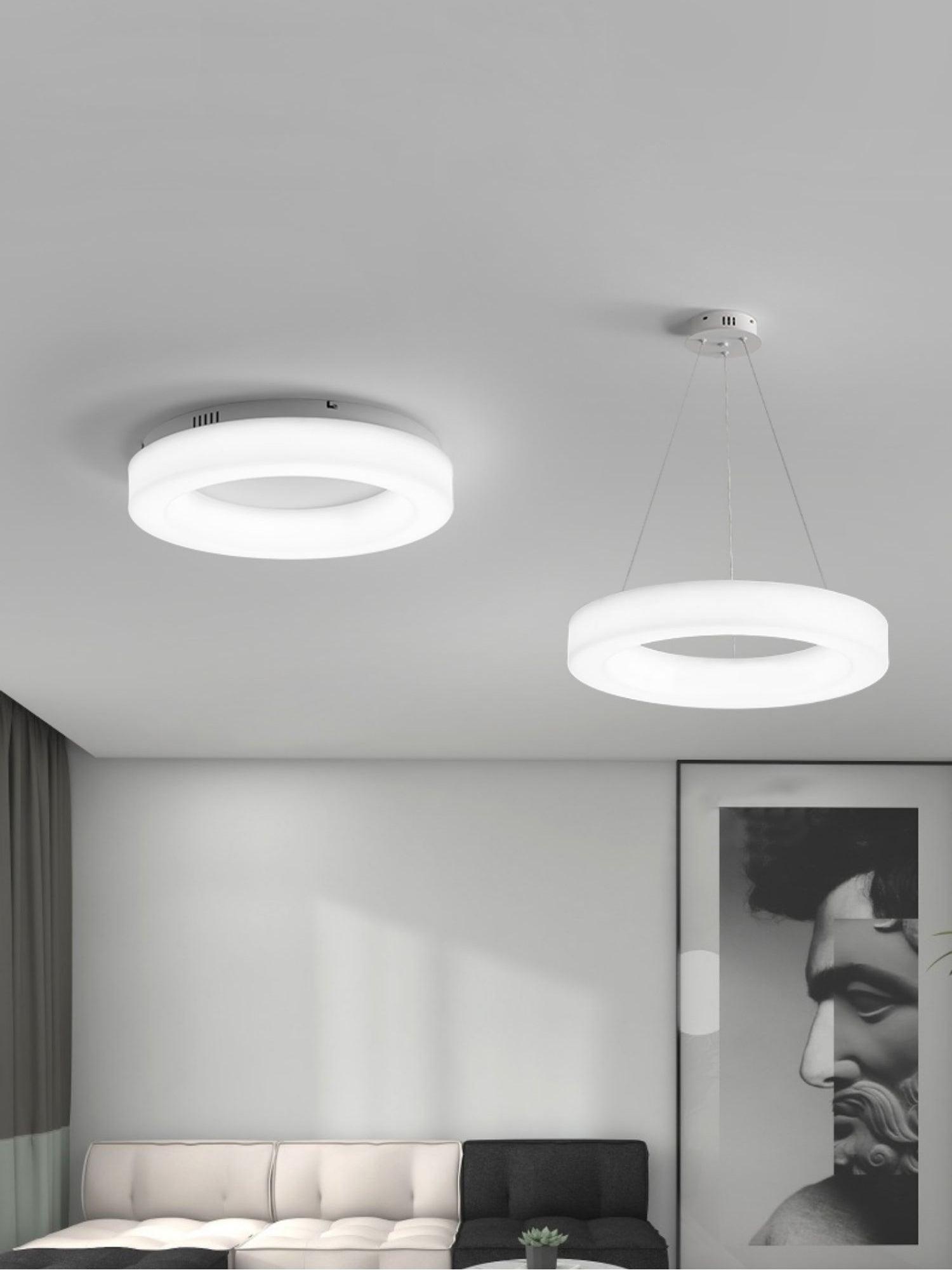Erraeiel Modern Minimalist Art Metal Ceiling Light - Lamp Outdoor