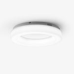 Erraeiel Modern Minimalist Art Metal Ceiling Light - Lamp Outdoor