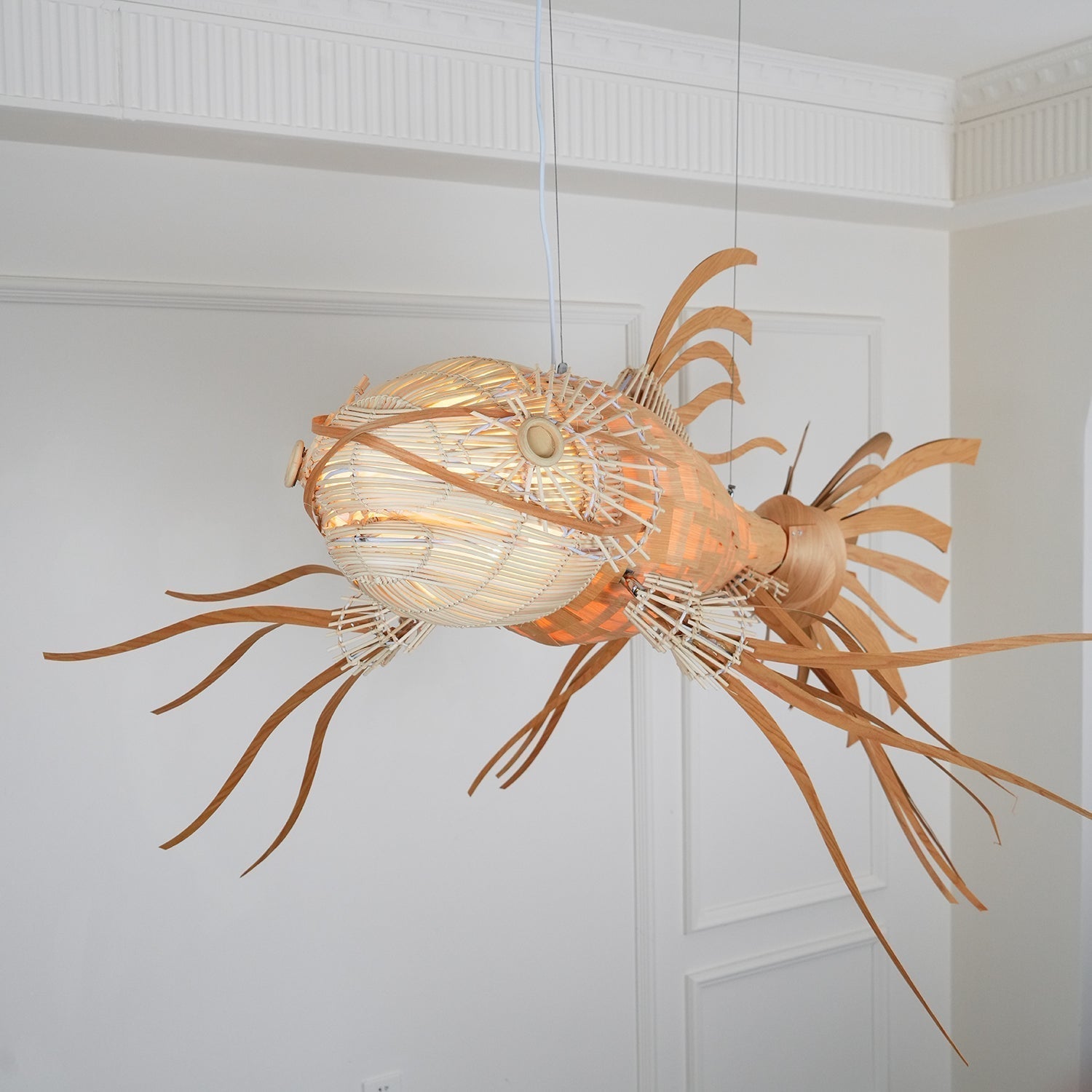 Koi Chandelier - Lamp Outdoor