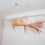 Koi Chandelier - Lamp Outdoor