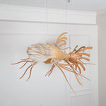 Koi Chandelier - Lamp Outdoor