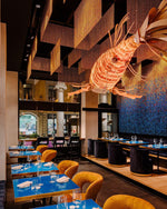 Koi Chandelier - Lamp Outdoor
