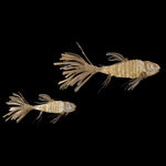 Koi Chandelier - Lamp Outdoor