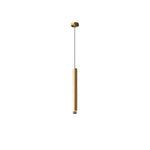 Cetheel Modern Minimalist Brass Plastic Pendant Light - Lamp Outdoor