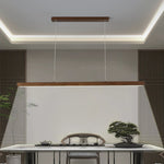 Linear Horizon Pendant Light - Lamp Outdoor