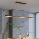 Linear Horizon Pendant Light - Lamp Outdoor