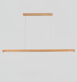Linear Horizon Pendant Light - Lamp Outdoor
